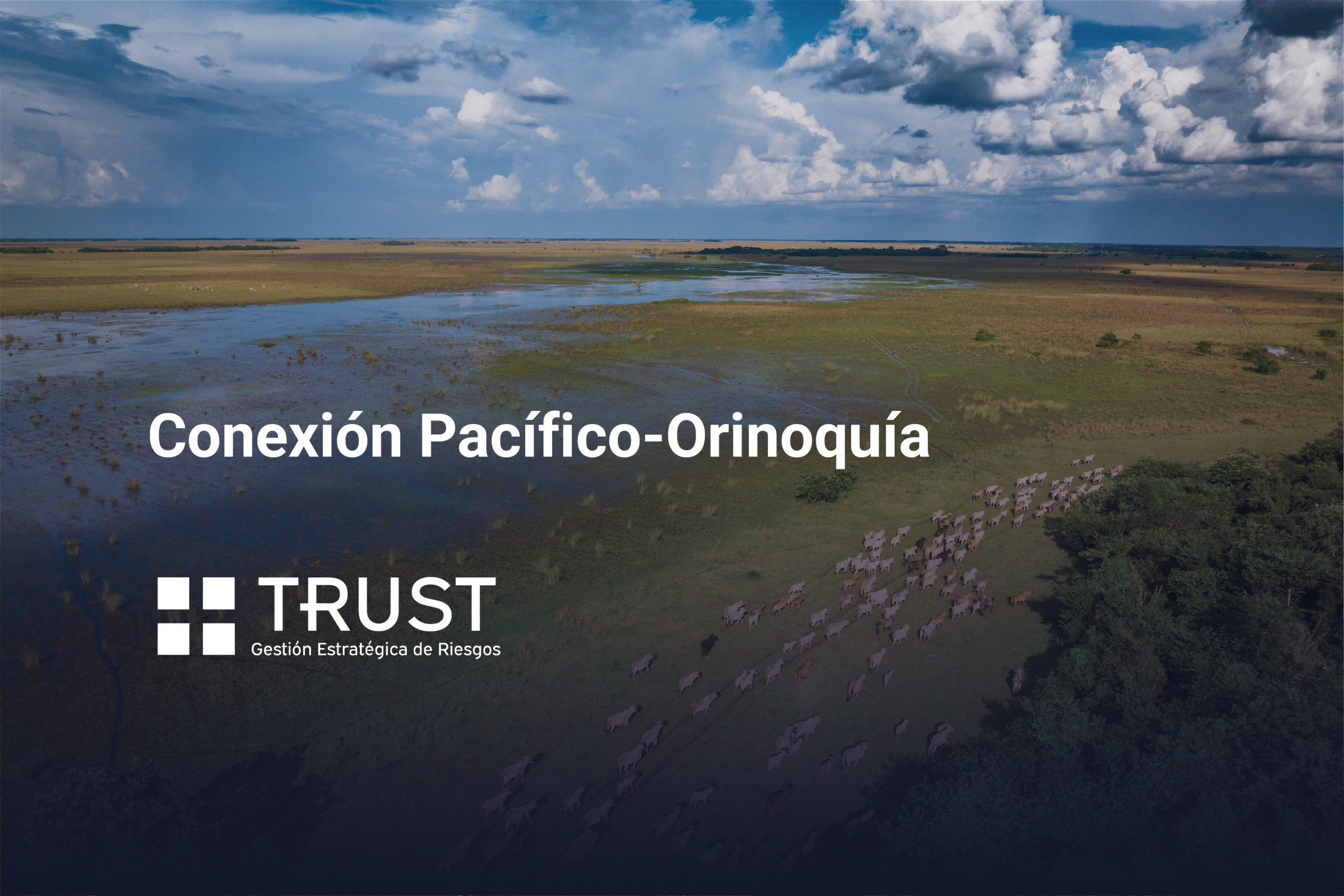 Conexión Pacífico-Orinoquía