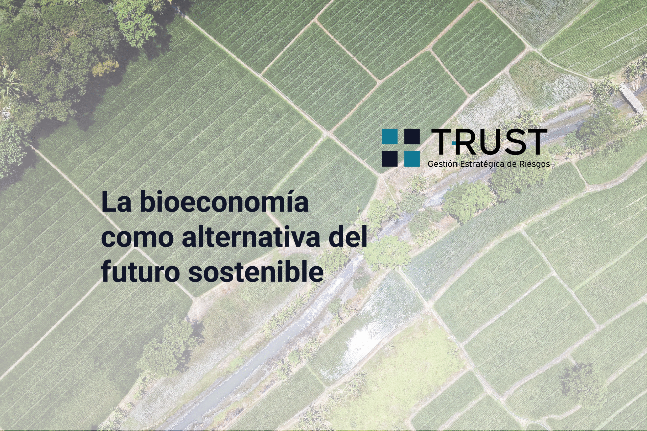 La bioeconomía como alternativa del futuro sostenible
